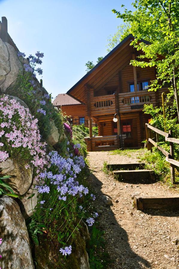 Apartma Kamp Koren
